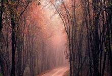 沈阳城建队磨砺实力，迎接更大考验的简单介绍